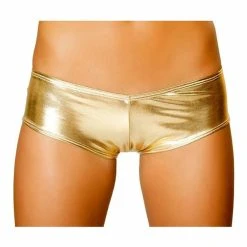 Roma Costume Pucker Back Metallic Shorts 26 Roma Costume Pucker Back Metallic Shorts -LEG AVENUE shop apijvq1qu 72662
